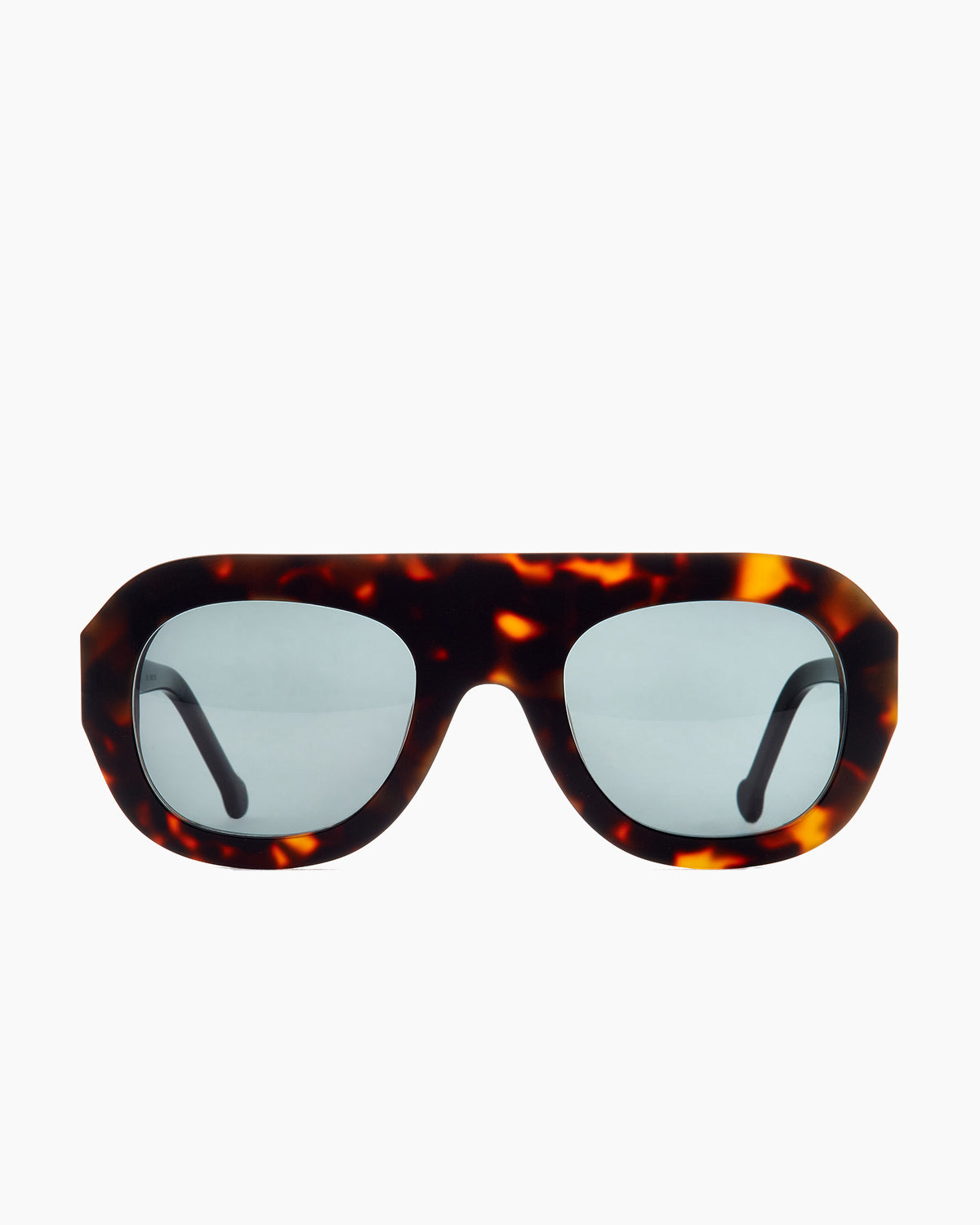 Marie-Sophie Dion - Bright - Tom | Bar à lunettes