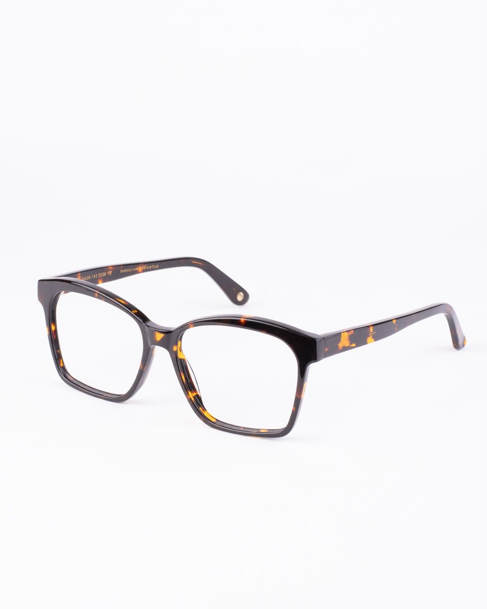 tortoise plastic butterfly eyeglasses by Spectacleeyeworks model stark, front view, lunettes de vue papillon couleur Écaille de tortue