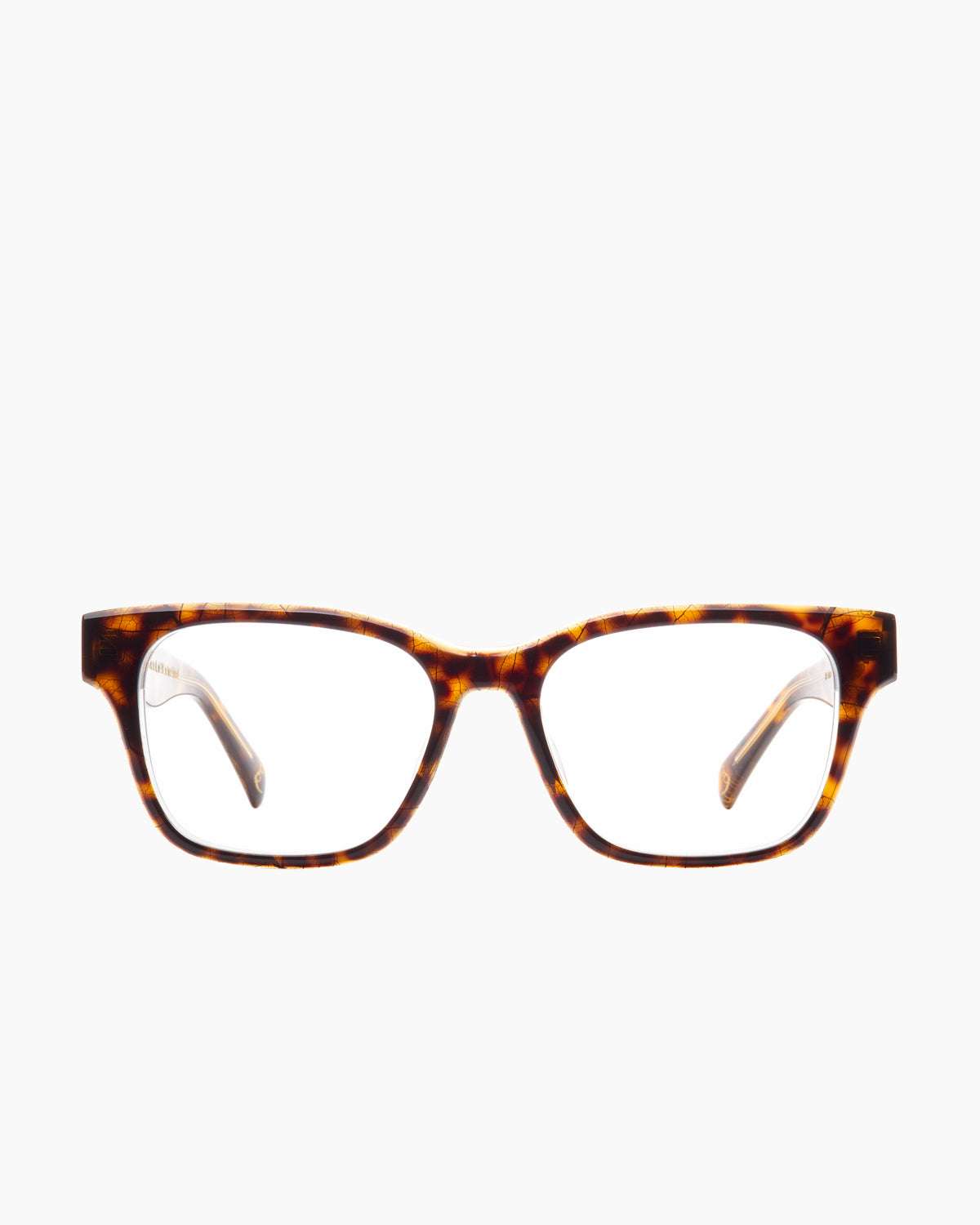 tortoise plastic rectangle eyeglasses by Spectacleeyeworks model Camden, front view, lunettes de vue rectangle couleur écaille de tortue