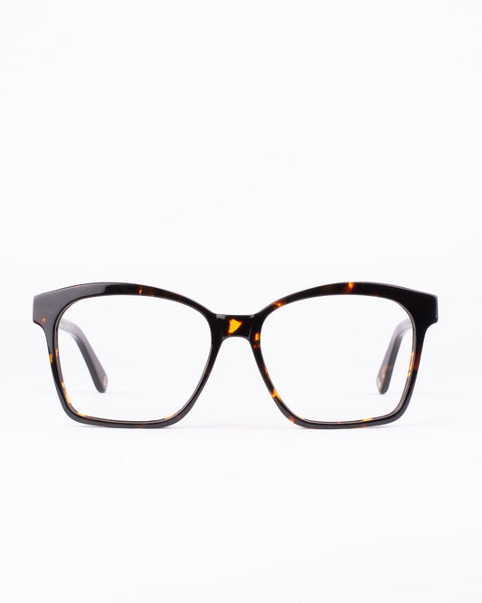 tortoise plastic butterfly eyeglasses by Spectacleeyeworks model stark, front view, lunettes de vue papillon couleur Écaille de tortue