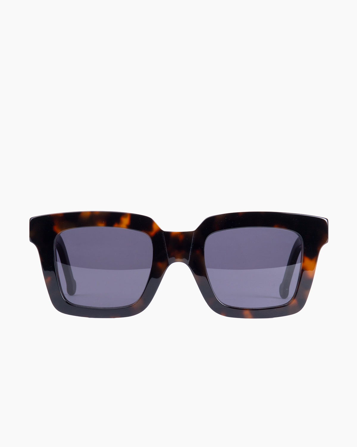 tortoise plastic rectangle  sunglassesby Marie-Sophie Dion model WilkySUN, front view, lunettes de vue rectangle couleur écaille de tortue